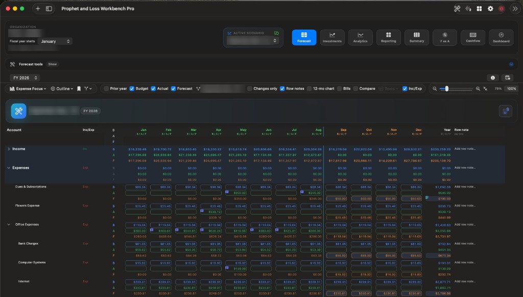 Forecast budget grid showing account hierarchy and monthly columns